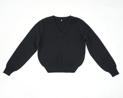 Pullover V-Ausschnitt aus Merino | Damen