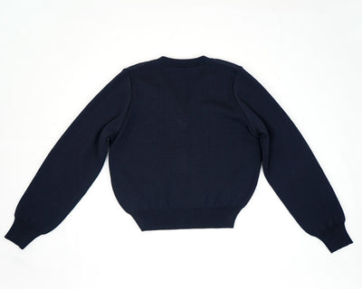 Pullover V-Ausschnitt aus Merino | Damen